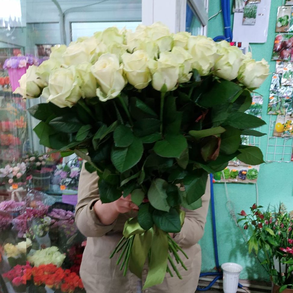 51 белая роза во Львове - фото