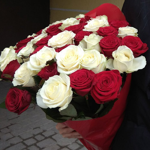 25 білих і червоних троянд фото