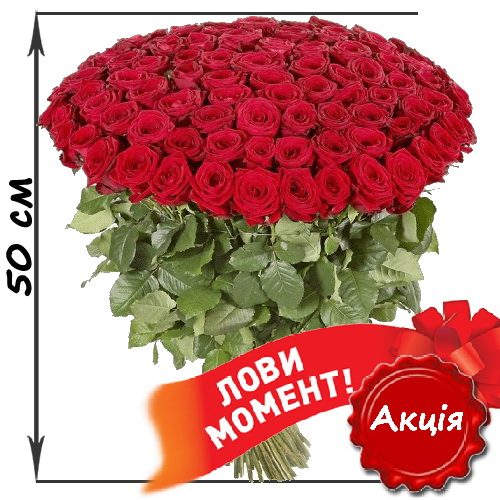 Фото товара 101 червона троянда (50см) у Львові