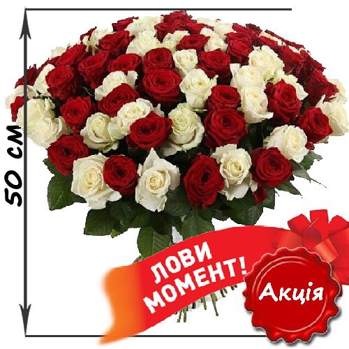 Фото товара 101 троянда мікс червона і біла (50 см) у Львові
