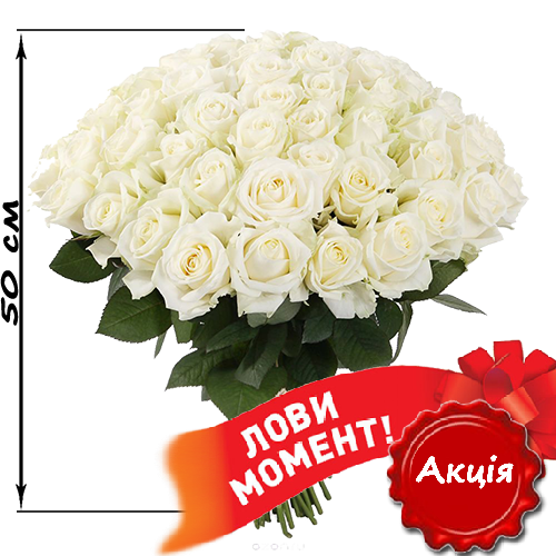 Фото товара 51 біла троянда (50 см) у Львові