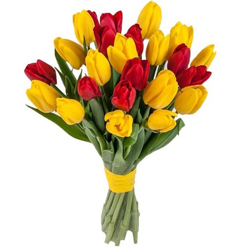 Фото товара 15 червоно-жовтих тюльпанів (зі стрічкою) у Львові