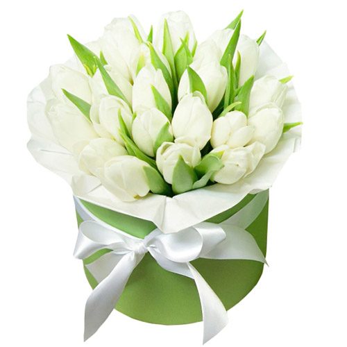 Фото товара 21 білий тюльпан у коробці у Львові