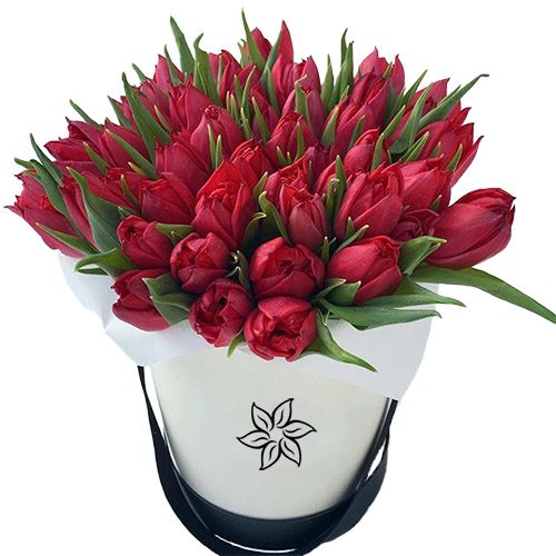 Фото товара 45 червоних тюльпанів у коробці у Львові