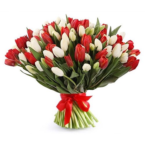Фото товара 75 червоно-білих тюльпанів (зі стрічкою) у Львові