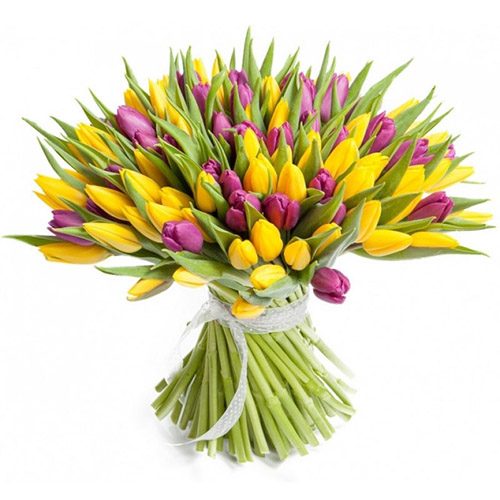 Фото товара 75 фіолетово-жовтих тюльпанів у Львові