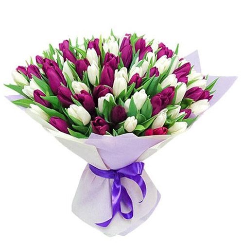 Фото товара 75 пурпурно-білих тюльпанів у Львові