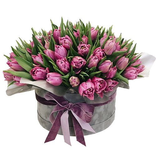 Фото товара 101 пурпурний тюльпан у коробці у Львові
