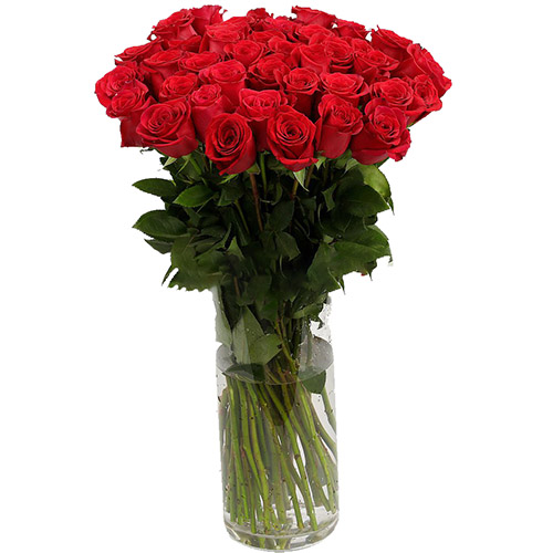 фото товара Троянда імпортна червона (поштучно) | «Букетик Львів»