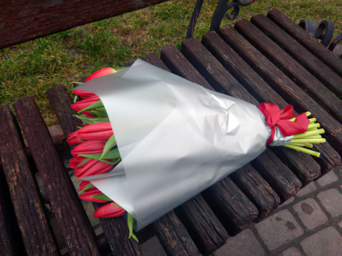 букет червоних тюльпанів фото