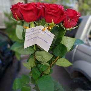5 троянд у Львові фото