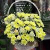 Фото товара Кошик "Білі хризантеми, жовті троянди" у Львові
