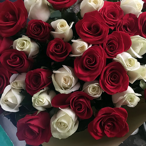 букет білих і червоних троянд