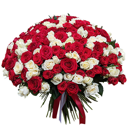 Фото товара 201 червона і біла троянда у Львові