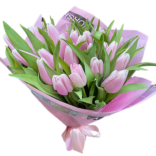 Фото товара 21 нежно-розовый тюльпан у Львові