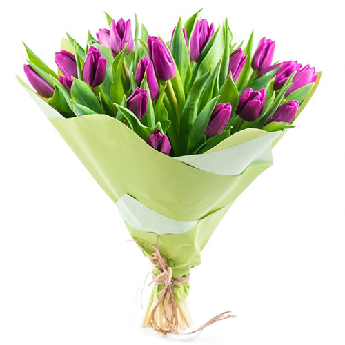Фото товара 25 пурпурных тюльпанов у Львові