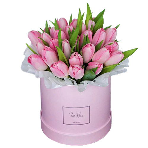 Фото товара 31 нежно-розовый тюльпан в коробке у Львові
