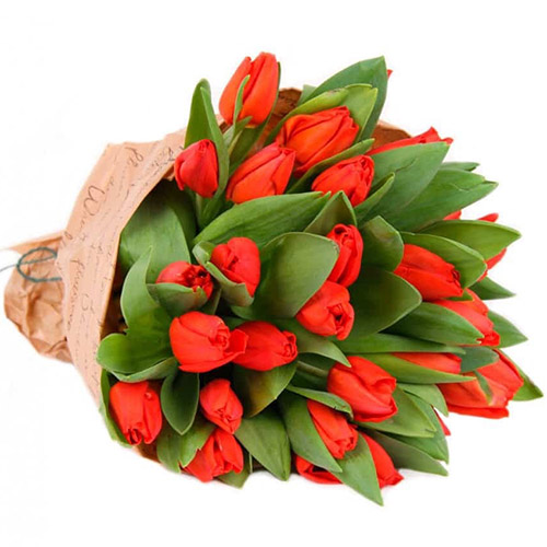 Фото товара 35 красных тюльпанов в "газете" у Львові