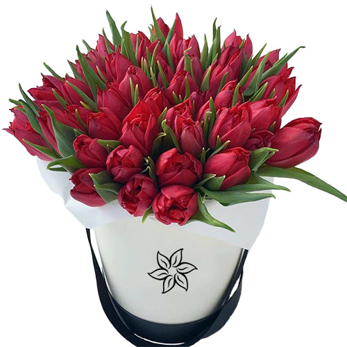 Фото товара 45 алых тюльпанов в коробке у Львові