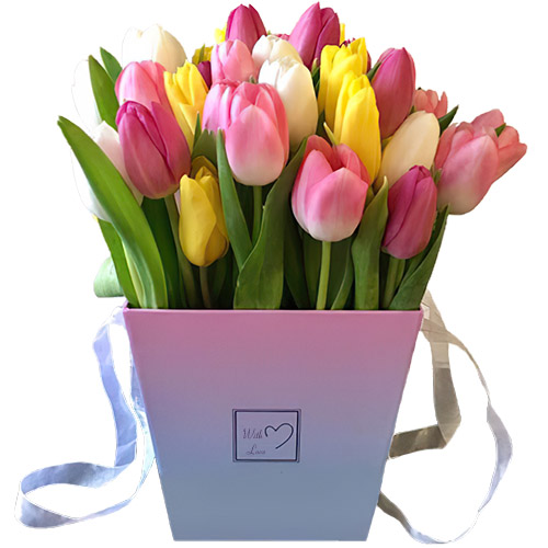 Фото товара 31 тюльпан "Весенний ветер" в квадратной коробке у Львові