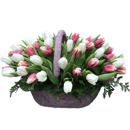 Фото товара 51 бело-розовый тюльпан в корзине у Львові