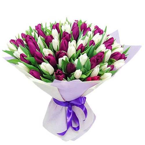 Фото товара 75 пурпурно-белых тюльпанов у Львові