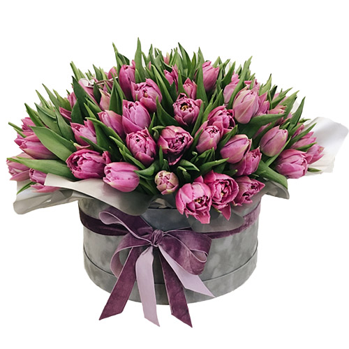 Фото товара 101 пурпурный тюльпан в коробке у Львові