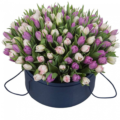 Фото товара 201 тюльпан (два цвета) в коробке у Львові