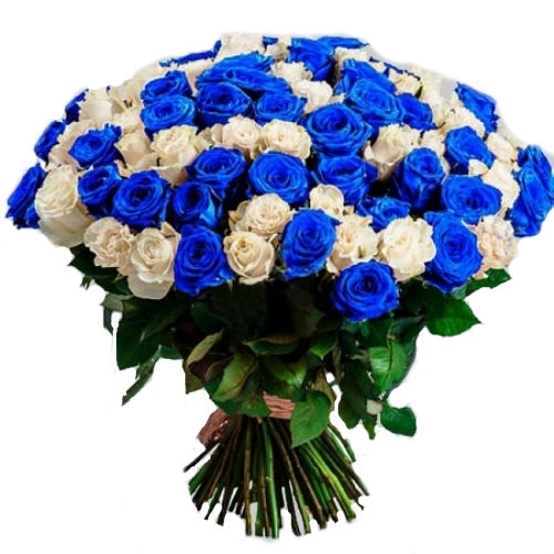 Фото товара 101 белая и синяя роза (крашеная) у Львові