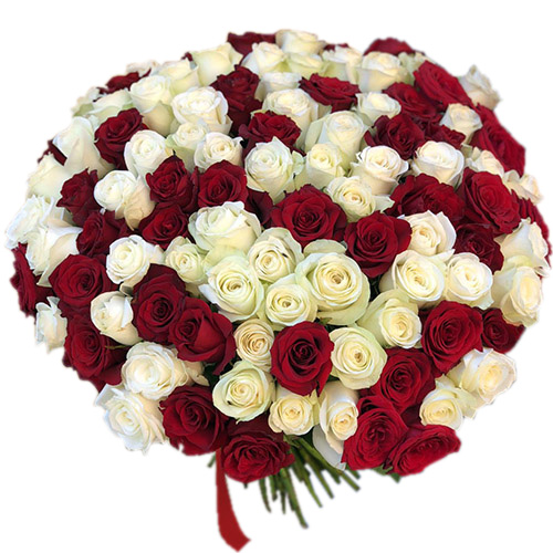 Фото товара 101 красная и белая роза у Львові