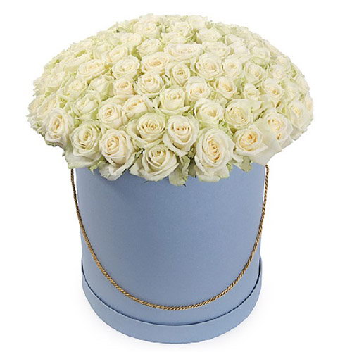 Фото товара 101 роза белая в шляпной коробке у Львові