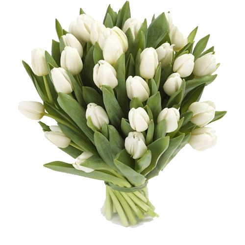 Фото товара 25 белых тюльпанов у Львові