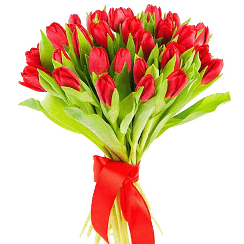 Фото товара 25 красных тюльпанов у Львові