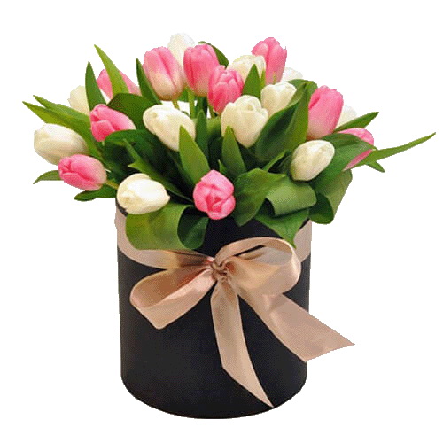 Фото товара 25 тюльпанов в коробке у Львові