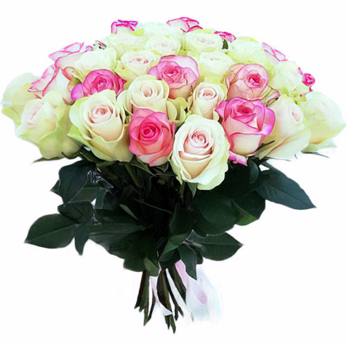 Фото товара 33 кремовые и розовые розы у Львові