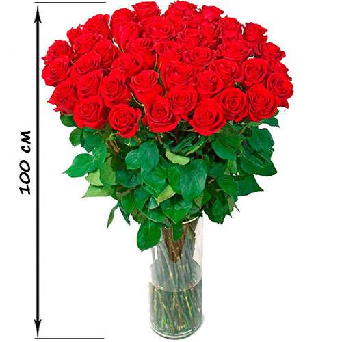 Фото товара 35 високих троянд (100 см) у Львові