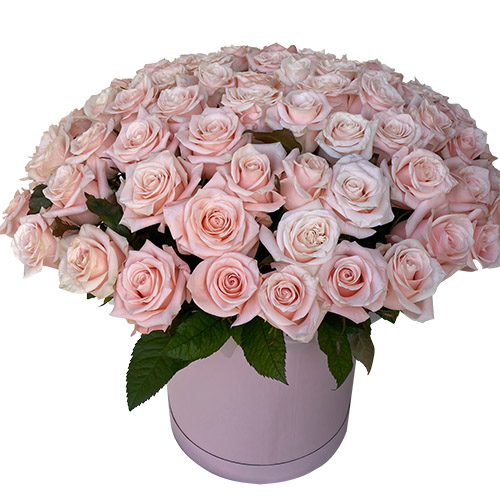 Фото товара 101 розовая роза в коробке у Львові