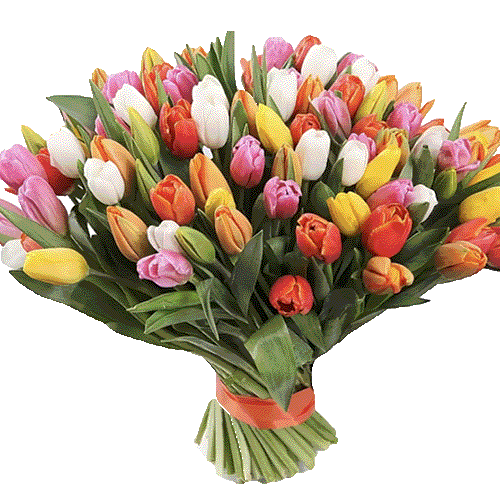 Фото товара 101 разноцветный тюльпан у Львові