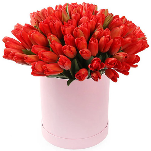 Фото товара 101 красный тюльпан в коробке у Львові