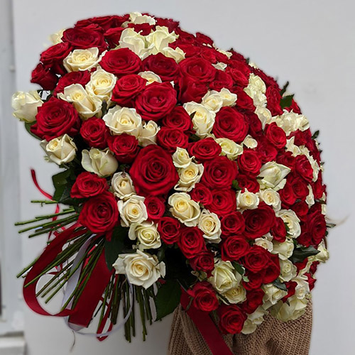 Великий букет з 201 червоної та білої троянди фото