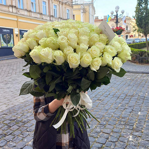 101 импортная белая роза во Львове фото