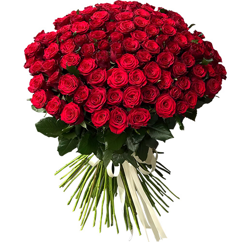 Фото товара 101 троянда червона у Львові