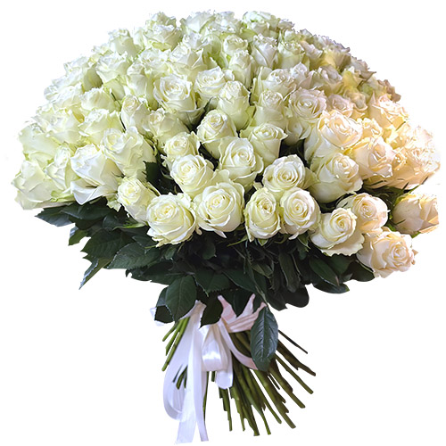 фото товара 101 біла імпортна троянда | «Букетик Львів»