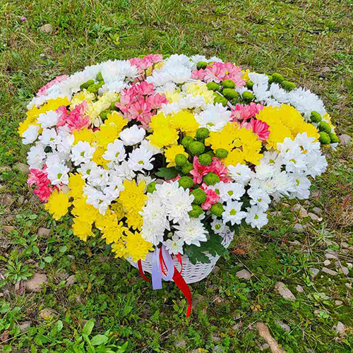 фото большая корзина разноцветных хризантем, подарок на день рождения