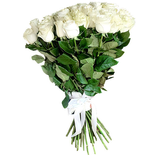 Фото товара 33 білі троянди у Львові