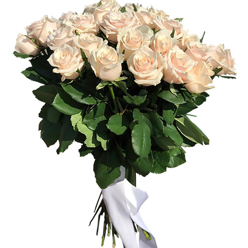 Фото товара Букет из 33 кремовых роз у Львові